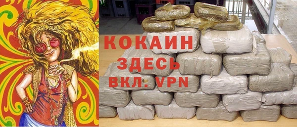 гашик Михайловка