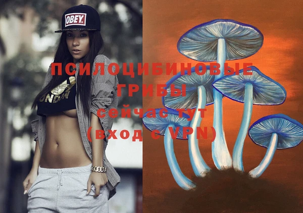 кокаин перу Михайлов