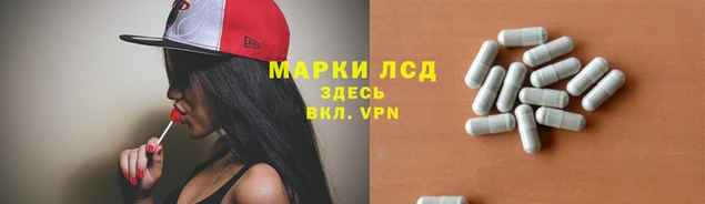 СК Михайловск