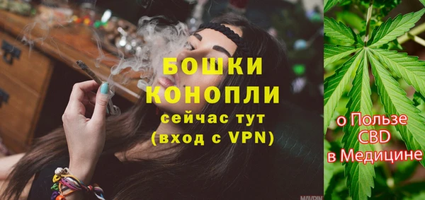СК Михайловск