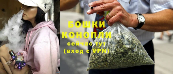 гашик Михайловка