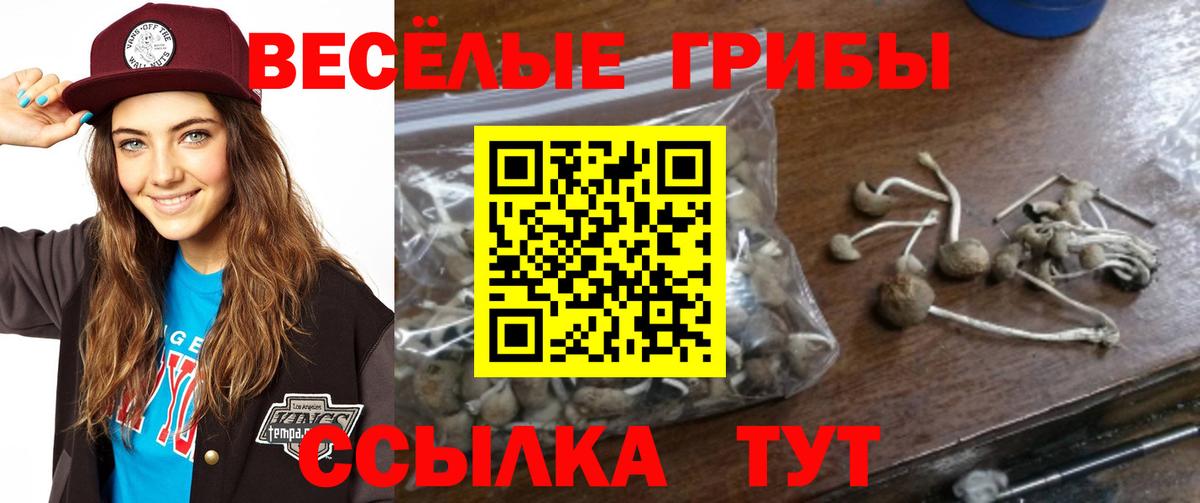 Армавир  Галлюциногенные грибы Psilocybine cubensis  Псилоцибиновые грибы ЛСД  Вход с VPN 
